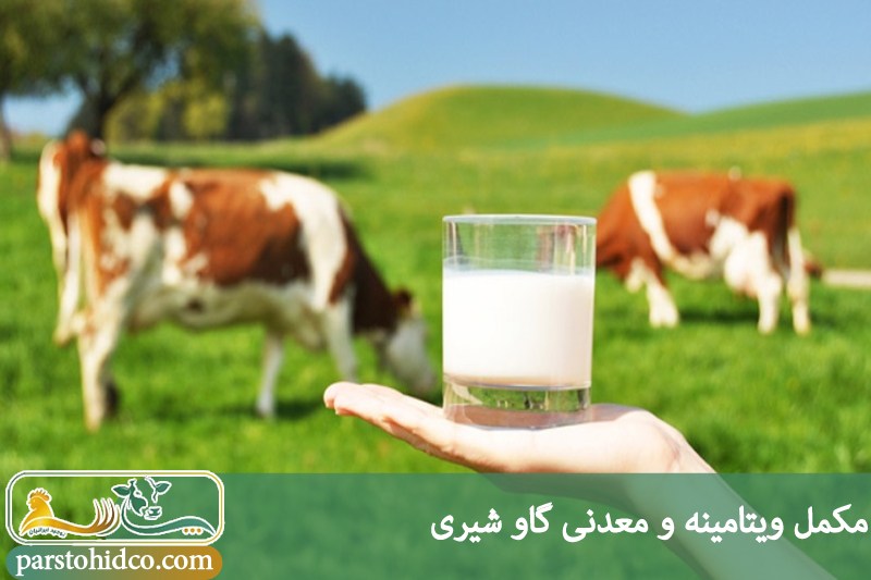 مکمل ویتامینه و معدنی گاو شیری