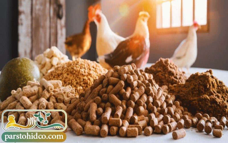 نکات مهم قبل از خرید مکمل طیور 