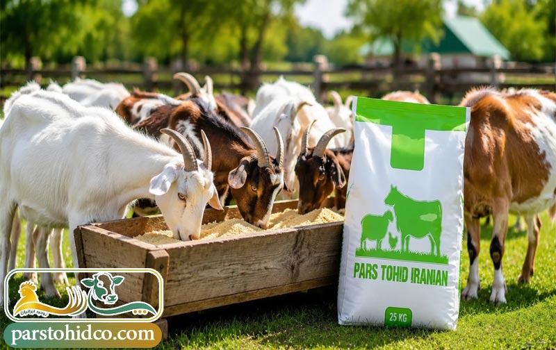 اهمیت استفاده از مکمل در تغذیه بز