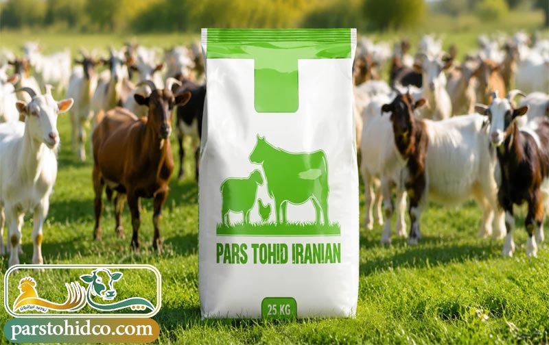 اهمیت استفاده از مکمل در تغذیه بز
