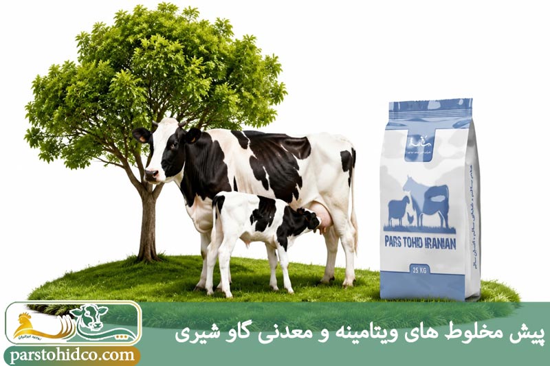 پیش مخلوط های ویتامینه و معدنی گاو شیری