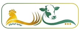 پارس توحید ایرانیان